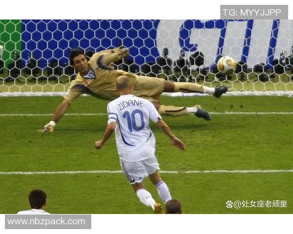 法国足球明星的辉煌历程与传奇故事揭秘